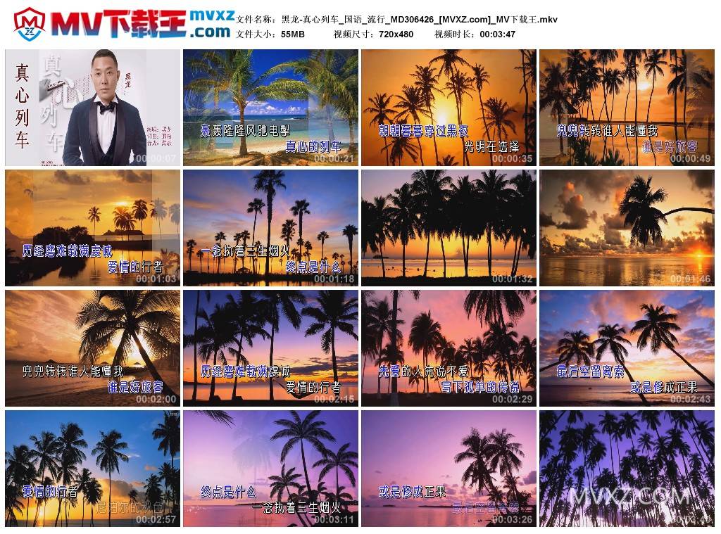 黑龙-真心列车_国语_流行_MD306426